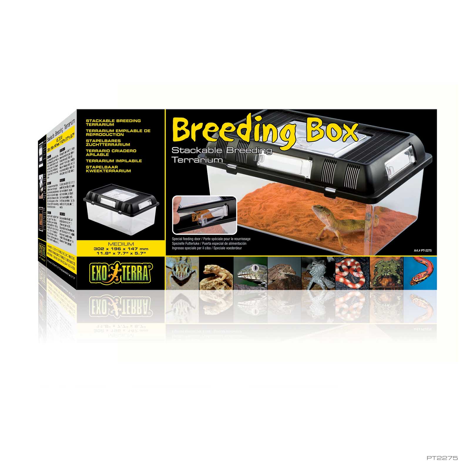 exo-terra-breeding-box-medium-zucht-und-transportbox image 3