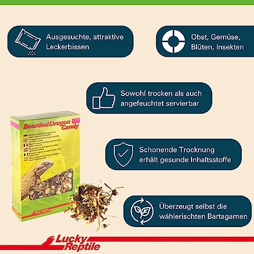 lucky-reptile-bearded-dragon-candy-bartagamen-futter-leckerbissen image 8