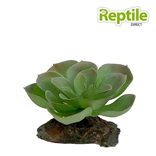 lucky-reptile-kalahari-busch-kunstpflanze-ca-40-cm image 8