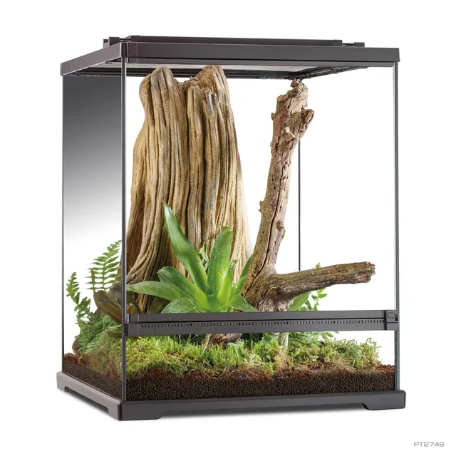 exo-terra-tree-frog-terrarium-amphibien-terrarium-mit-frontt-r image 1
