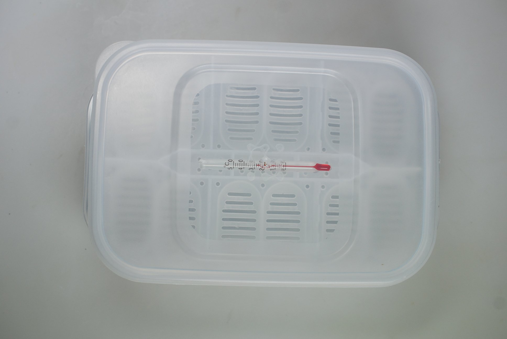 lucky-reptile-hatchbox-brutbox-f-r-reptilieneier-inkubationsbox-f-r-12-eier-bis- image 5