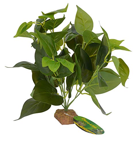 lucky-reptile-golden-pothos-64633-terrarienpflanze-30-cm-auf-steinsockel image 2