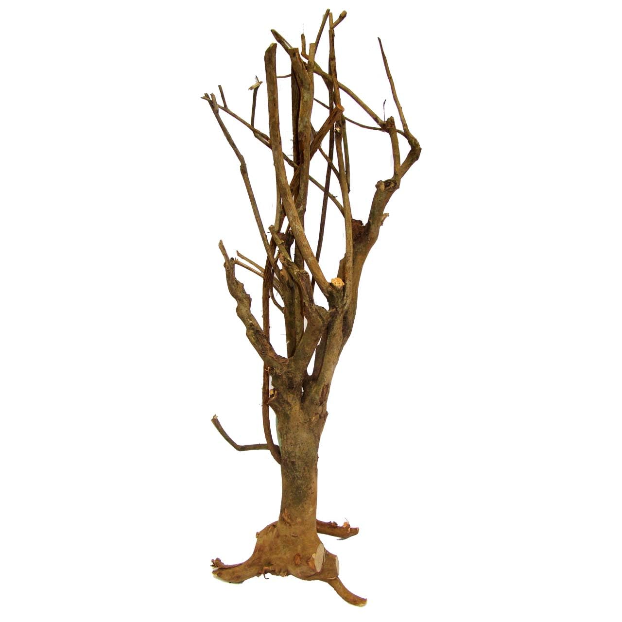 lucky-reptile-grasb-schel-terrarienpflanze-deko-ca-25-40-cm-f-r-w-sten-terrarium image 6