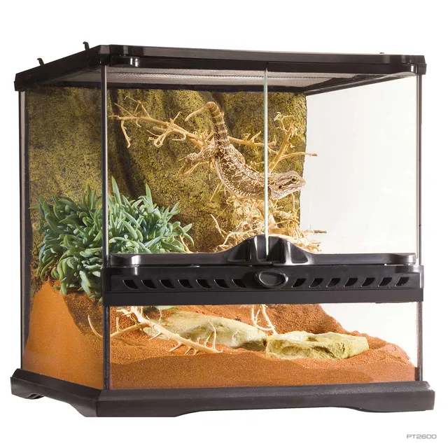 exo-terra-natural-terrarium-mini-wide-glasterrarium-30-x-30-x-30-cm image 1