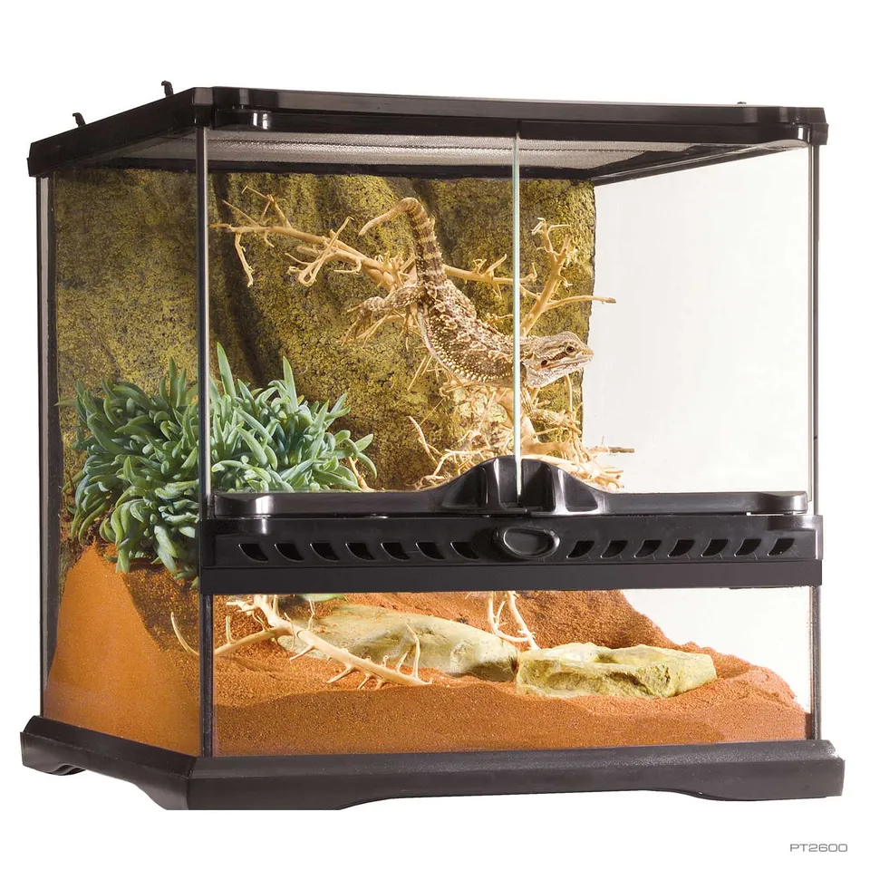 exo-terra-natural-terrarium-mini-wide-glasterrarium-30-x-30-x-30-cm image 1