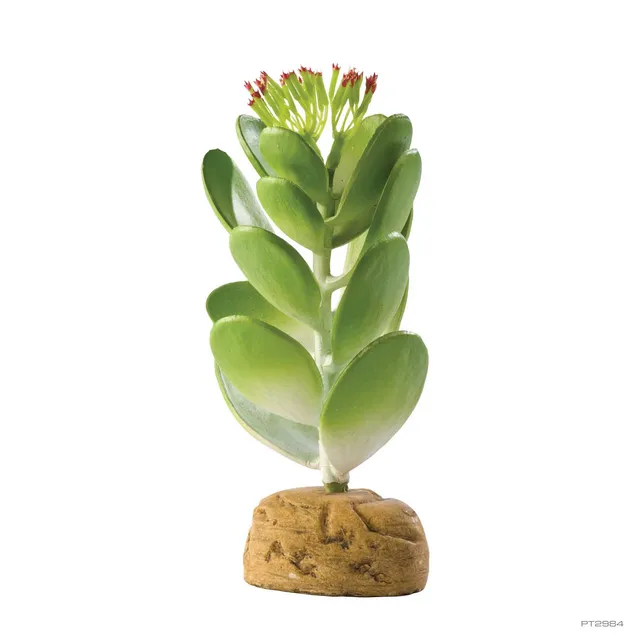 exo-terra-jade-cactus-k-nstliche-terrarienpflanze image 1