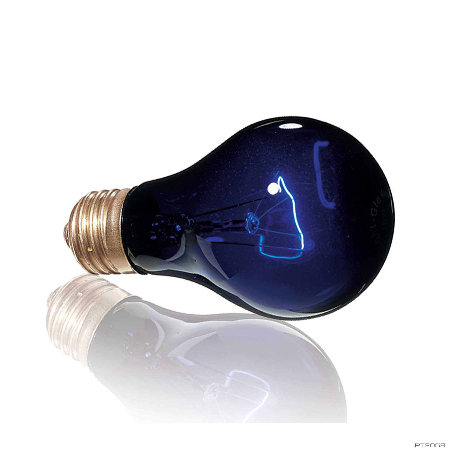 exo-terra-night-heat-lamp-nachtw-rmelampe-100-w image 2
