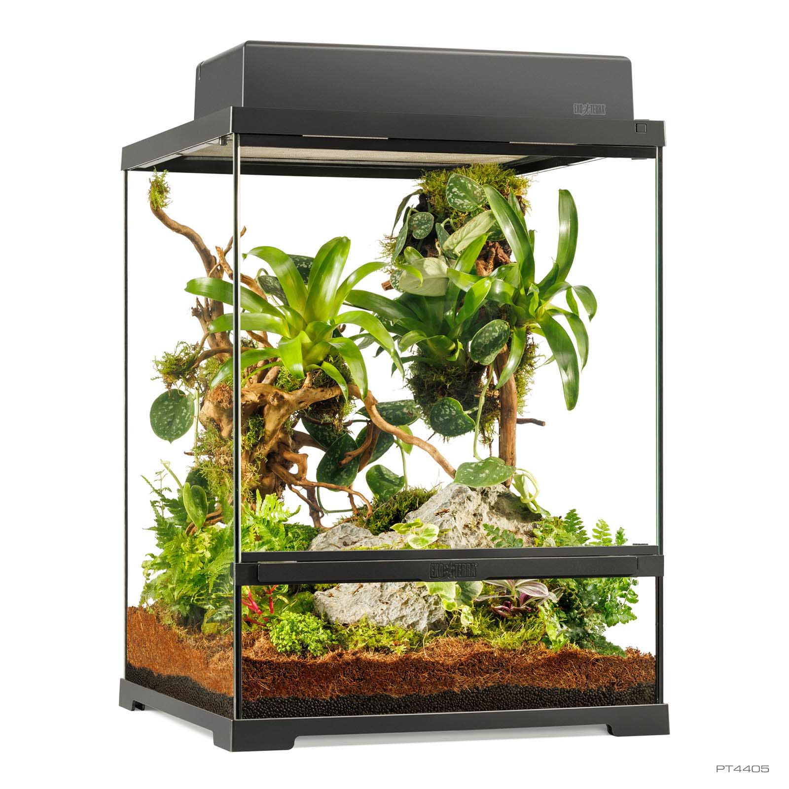 exo-terra-pro-terrarium-small-tall-nat-rliches-hochterrarium-f-r-reptilien image 2