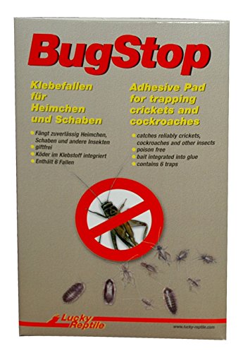 lucky-reptile-bug-stop-klebefallen-giftfreie-insektenfalle-f-r-heimchen-und-scha image 2