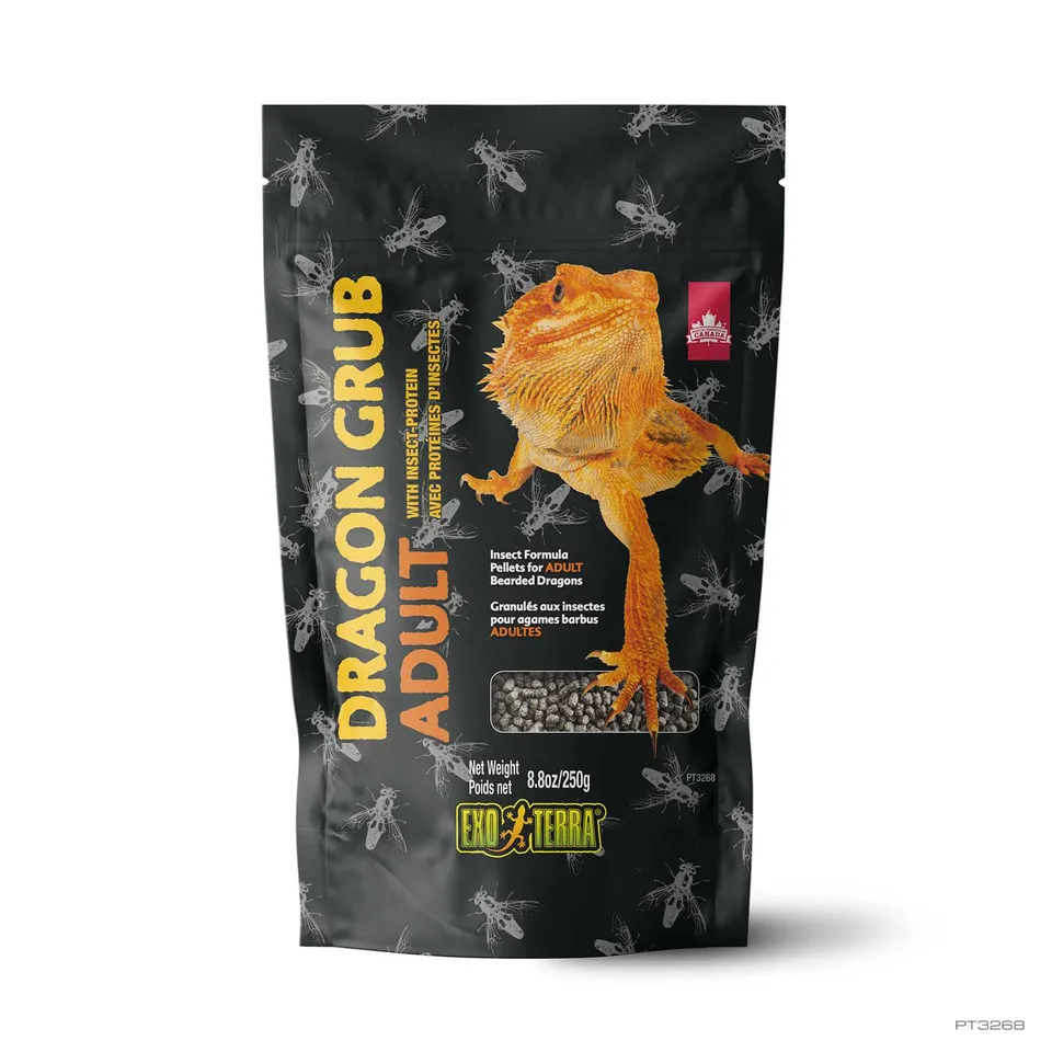 exo-terra-dragon-grub-adult-250g-insektenfutter image 1