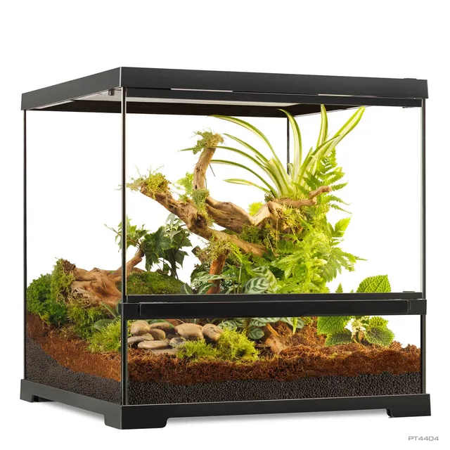 exo-terra-pro-terrarium-small-wide-nat-rliches-glasterrarium-mit-niedriger-front image 1