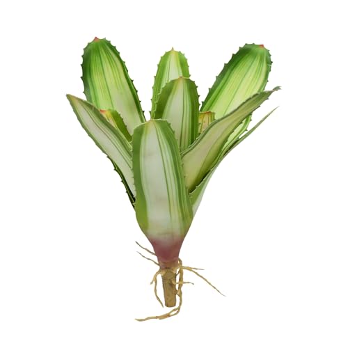 lucky-reptile-scape-it-easy-bromelie-neoregelia-wei-ca-20-cm-terrarien-dekopflan image 7