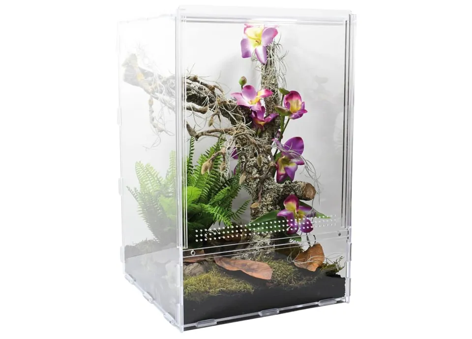 lucky-reptile-lifetarrium-terrarium-30-x-30-x-45-cm image 1