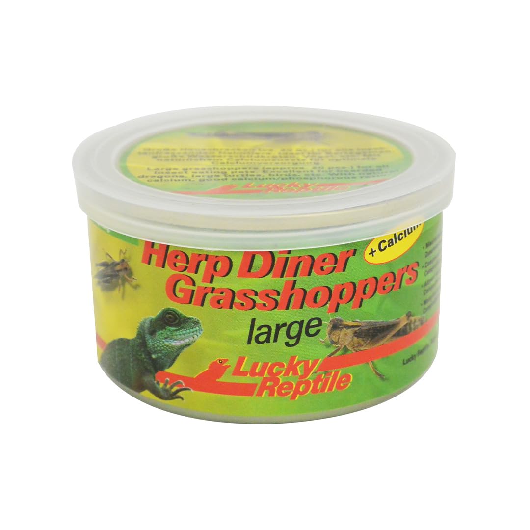 lucky-reptile-herp-diner-superworms-futterdose image 5
