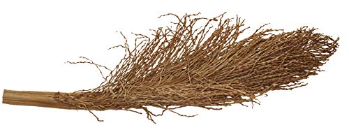 lucky-reptile-palmwedel-palmfackel-30-40-cm-naturdeko image 5