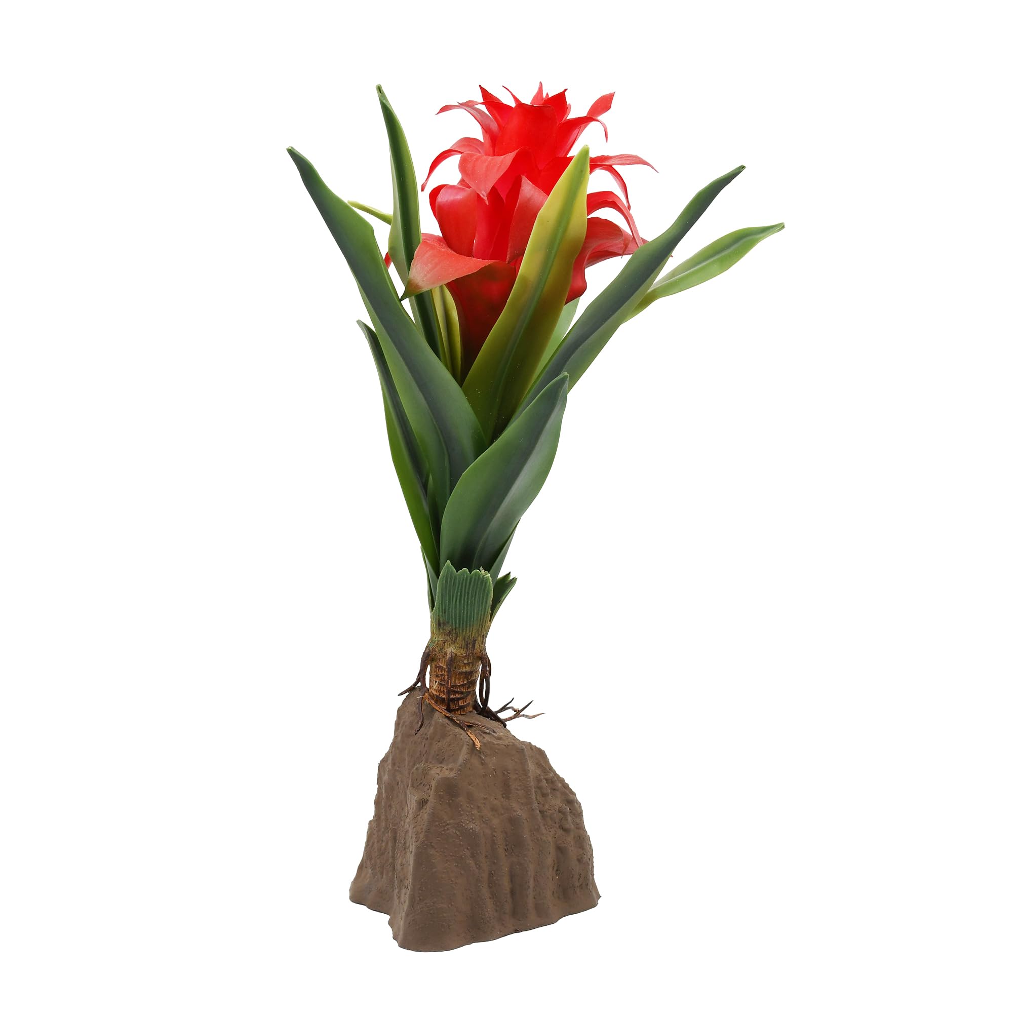 lucky-reptile-scape-it-easy-bromelie-neoregelia-gr-n-ca-20-cm-dekopflanze image 5