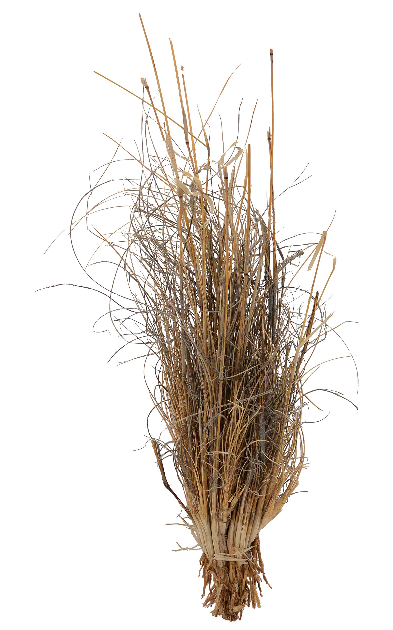 lucky-reptile-grasb-schel-terrarienpflanze-deko-ca-25-40-cm-f-r-w-sten-terrarium image 2