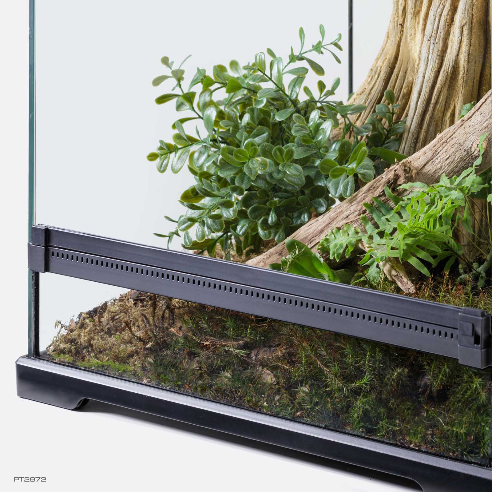 exo-terra-calcarea-boxwood-k-nstliche-terrarienpflanze-buchs image 3