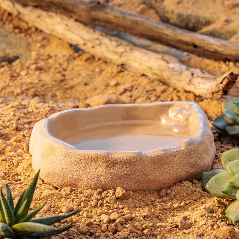 exo-terra-terrarium-dish-large-wasserschale-f-r-schildkr-ten-terrarium image 5