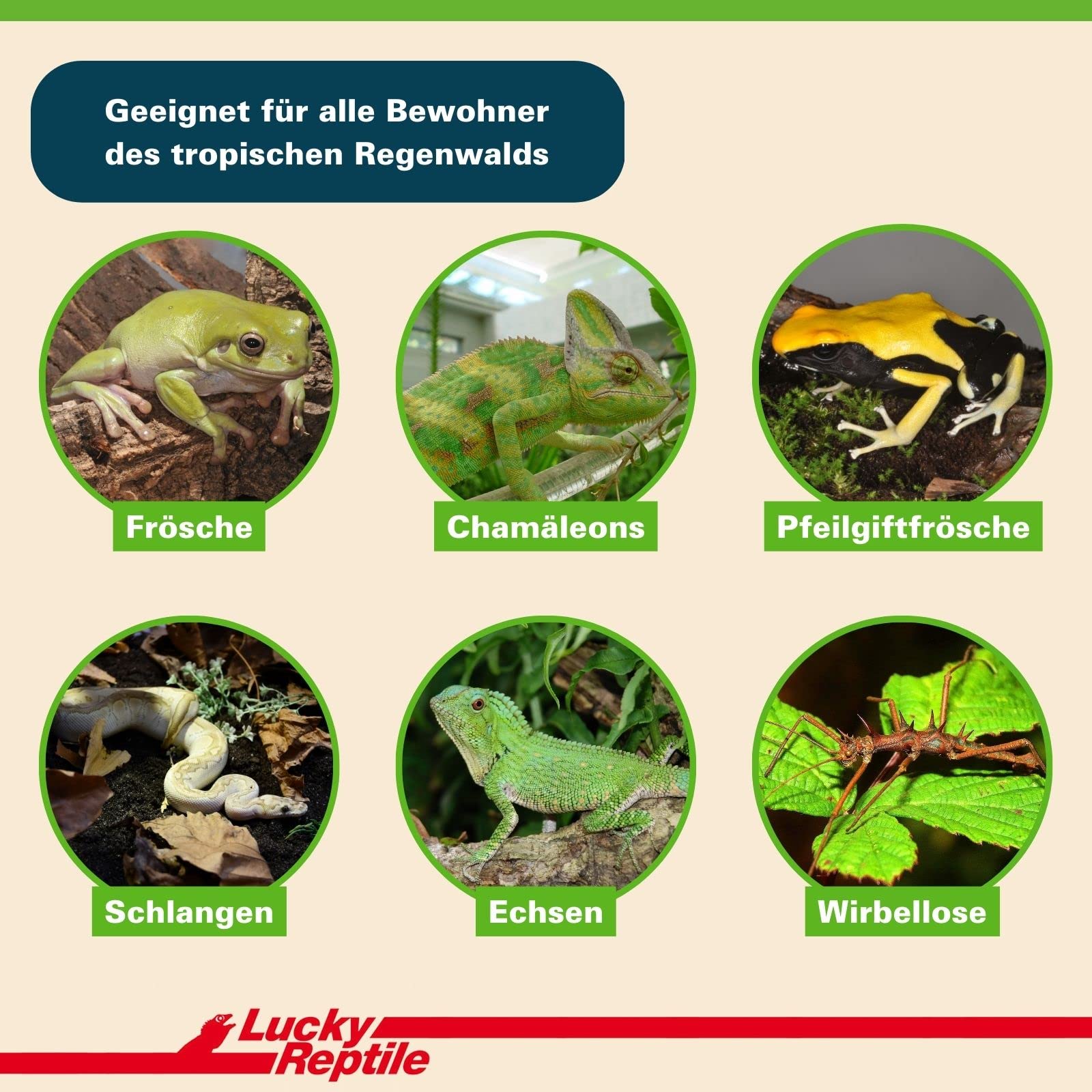 lucky-reptile-jungle-bedding-bodengrund-20-liter-f-r-regenwaldterrarien image 3