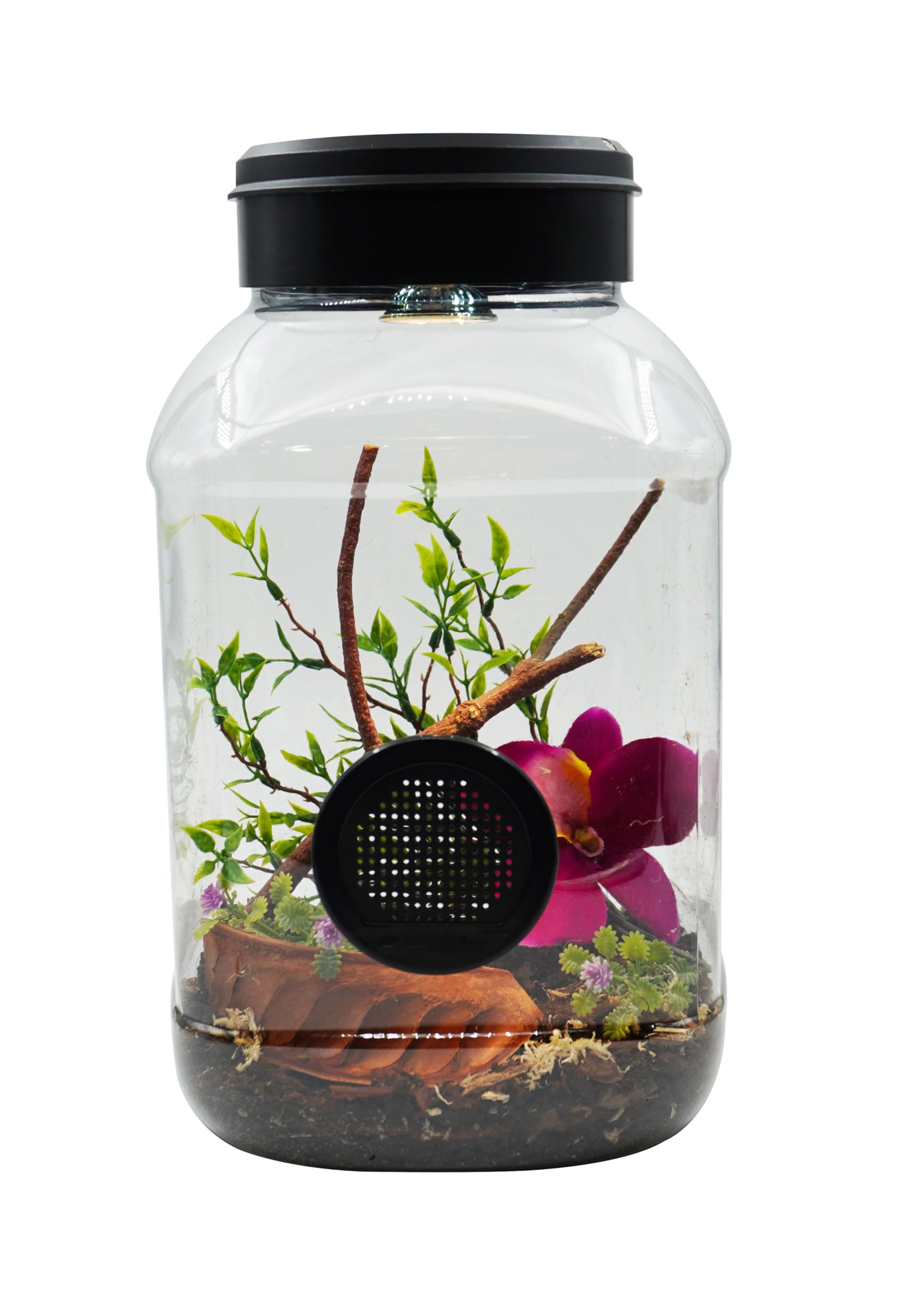 lucky-reptile-mantistarrium-kleinterrarium-18x18x35-cm-f-r-gottesanbeterinnen image 7