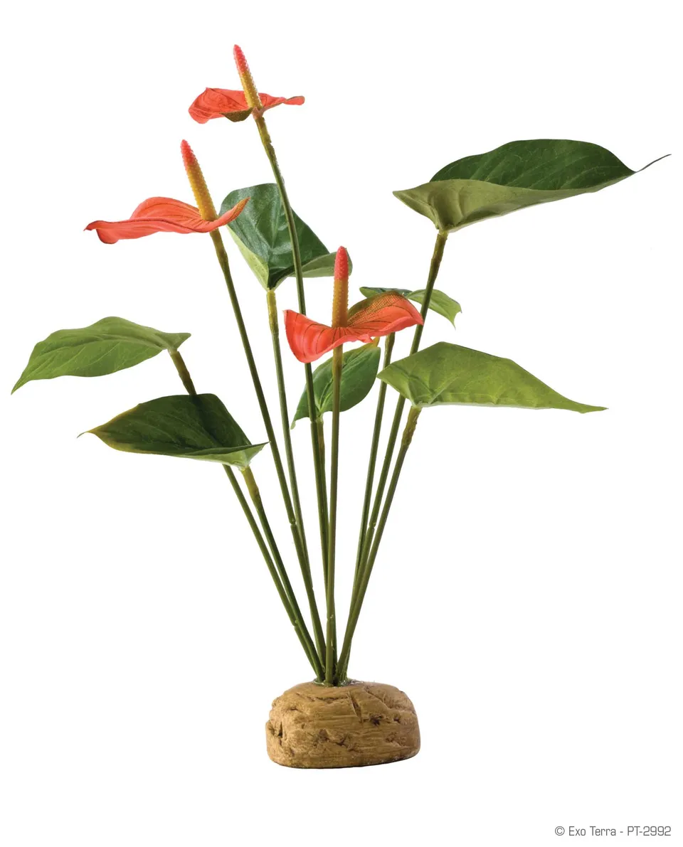 exo-terra-anthurium-bush-k-nstliche-terrarienpflanze-busch image 1