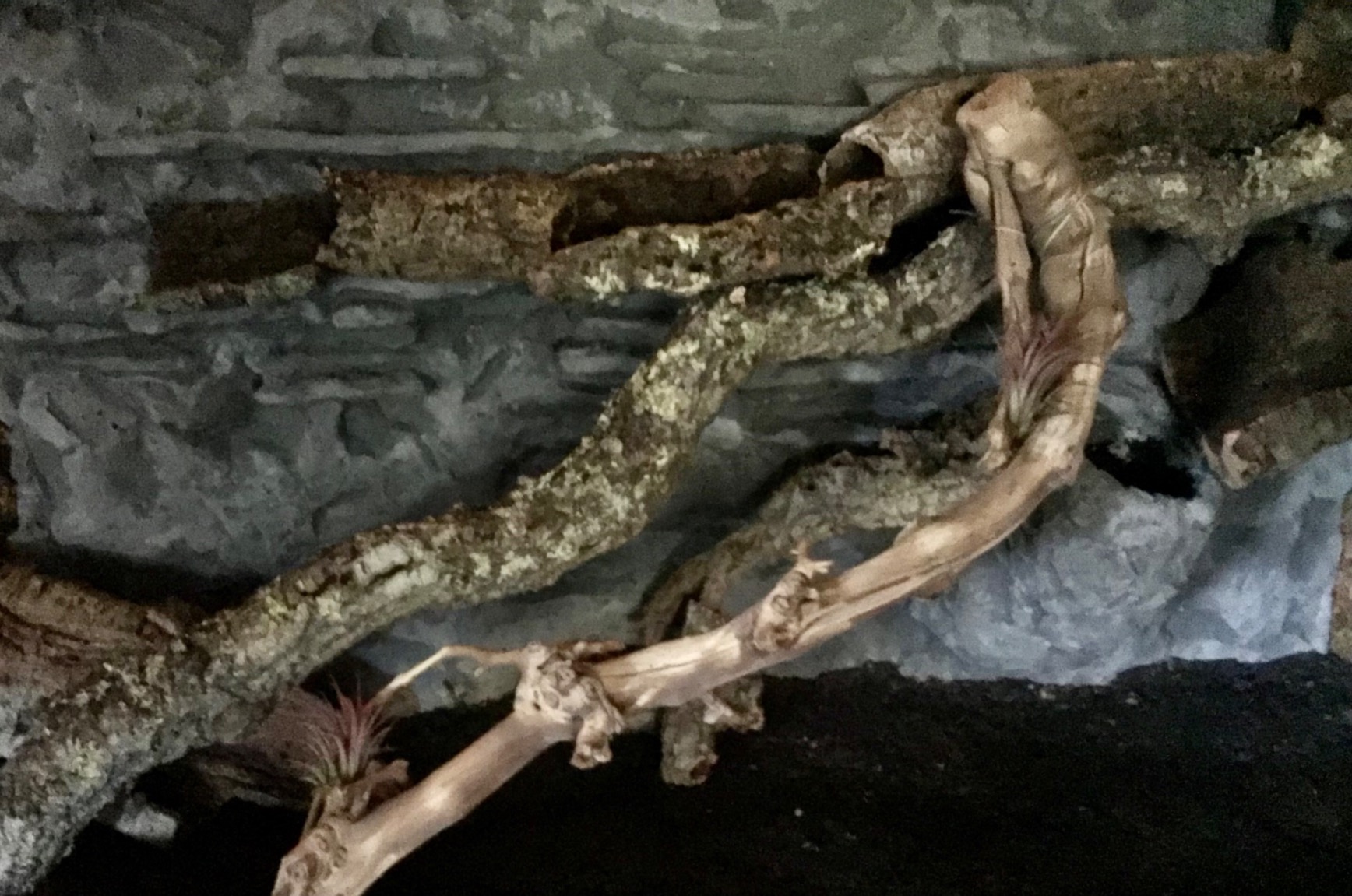 Schön aber mit Holzstaub