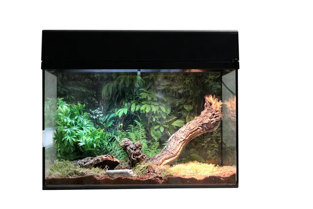 lucky-reptile-starter-kit-vogelspinne-skorpion-schwarz-50x28x40-cm image 1