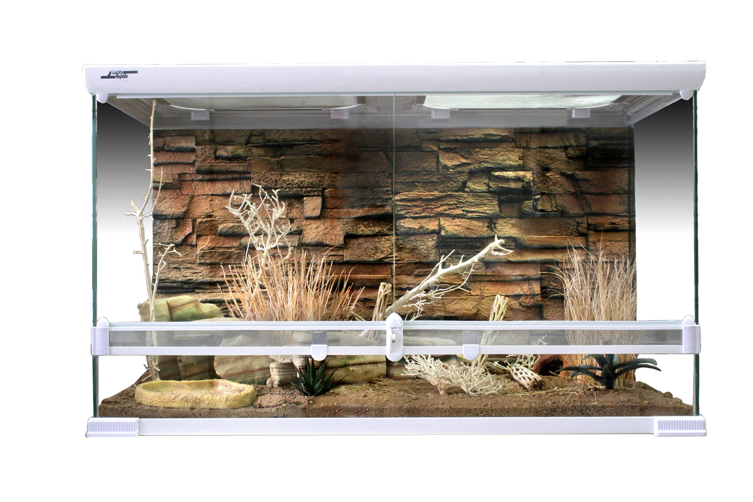 lucky-reptile-grasb-schel-terrarienpflanze-deko-ca-25-40-cm-f-r-w-sten-terrarium image 5
