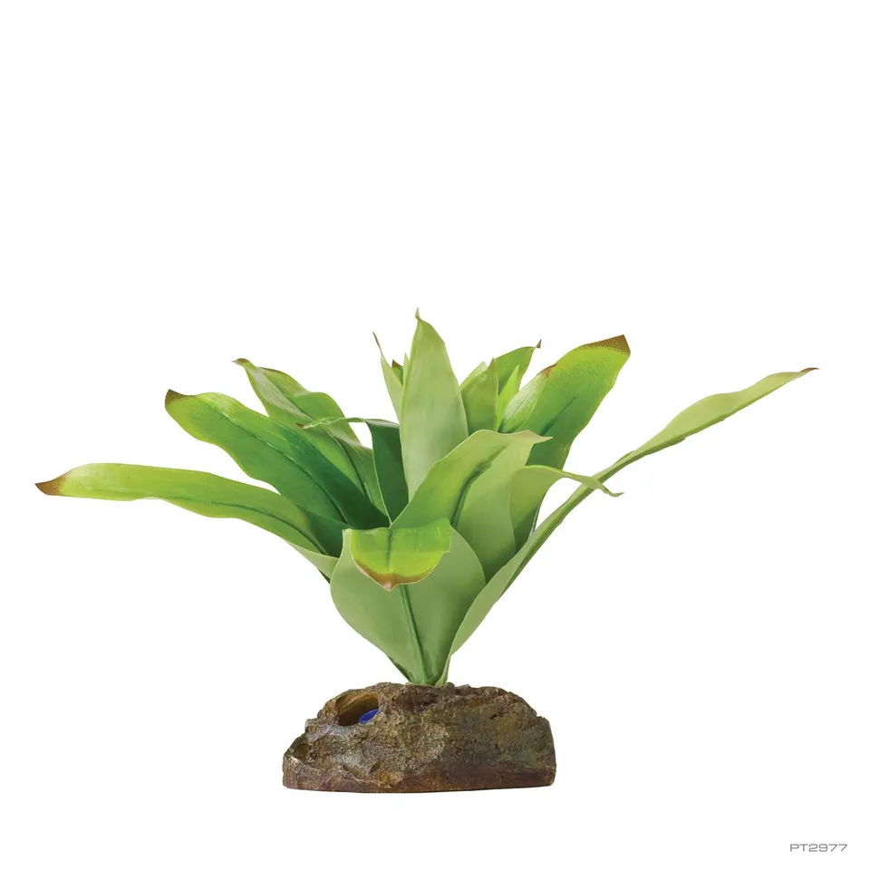 exo-terra-bromelia-small-dart-frog-kunstpflanze-neoregelia image 1