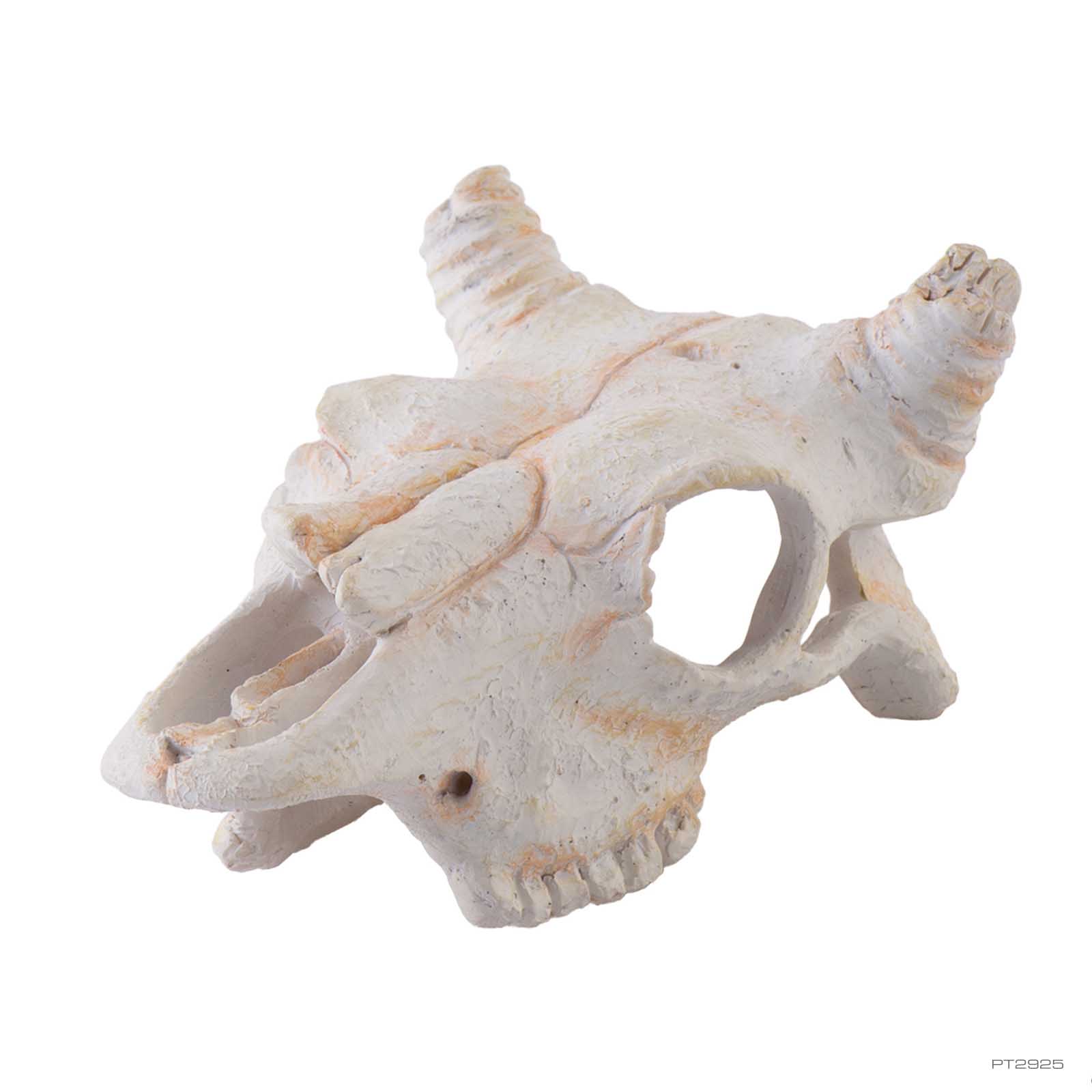 exo-terra-buffalo-skull-small-versteck-deko image 1