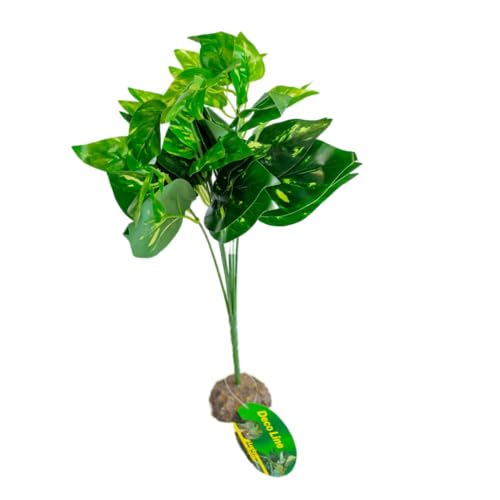 lucky-reptile-scindapsus-gr-n-terrarienpflanze-40-cm-auf-steinsockel image 5