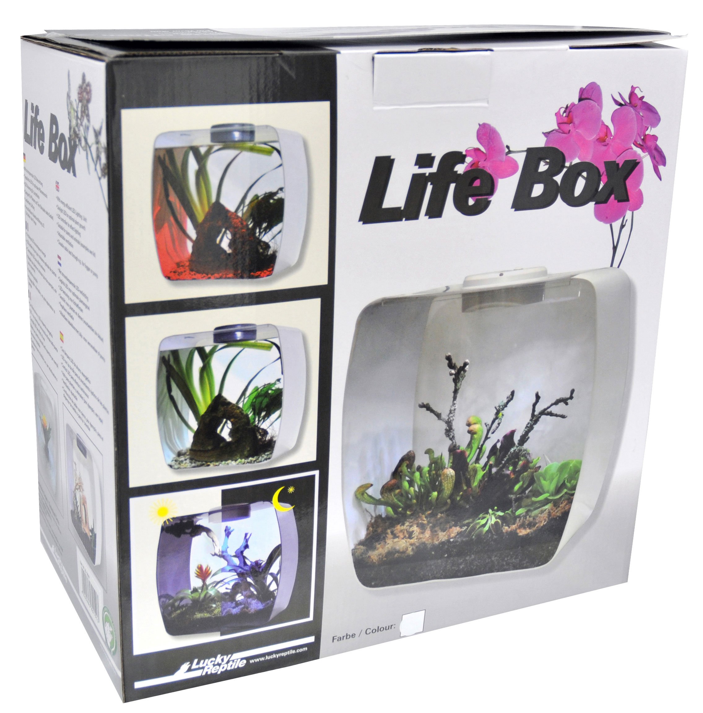lucky-reptile-life-box-30x18x30-cm-wei-mit-led-und-l-ftung image 5