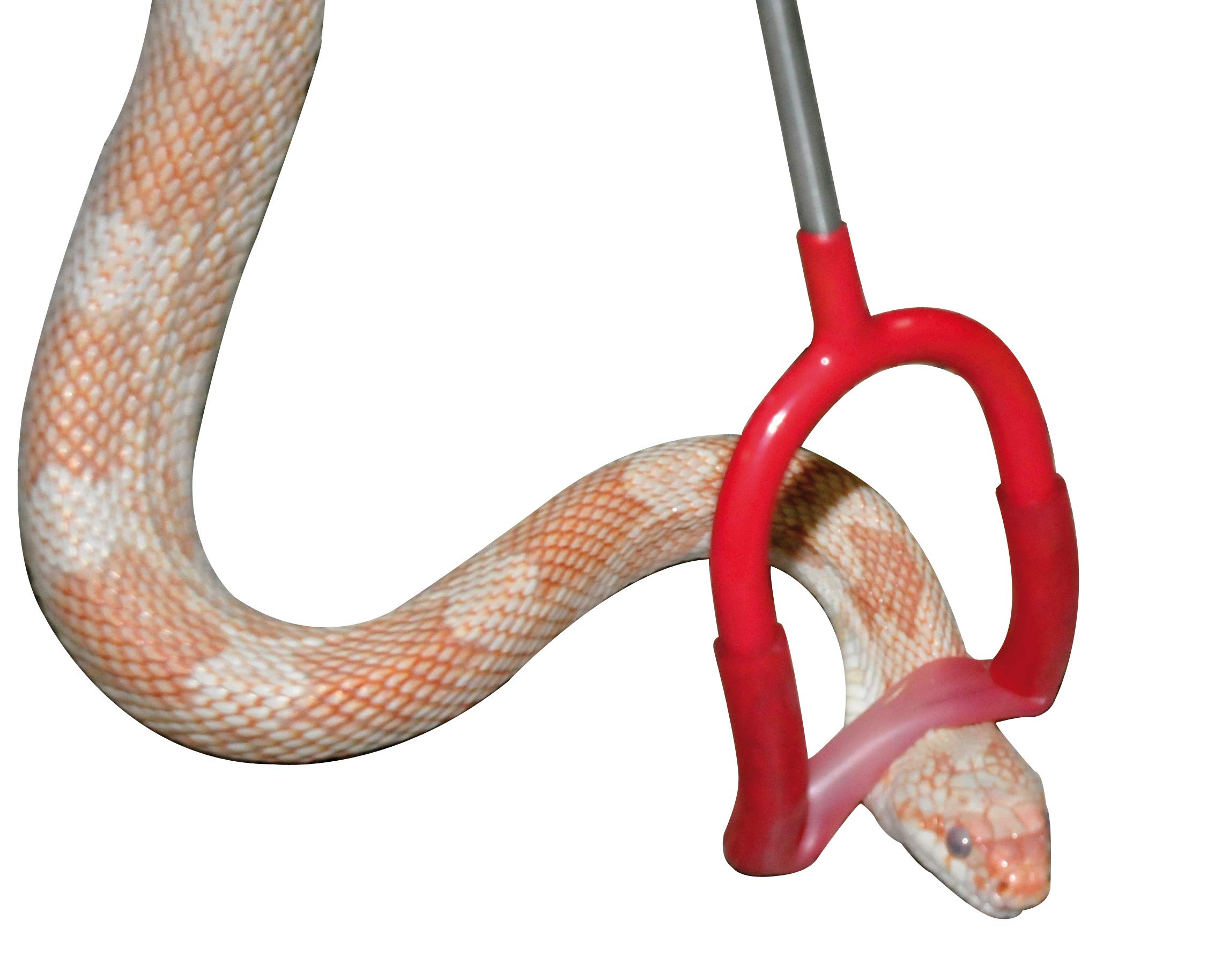 lucky-reptile-lhp-100-schlangenstock-pinner-100-cm image 3