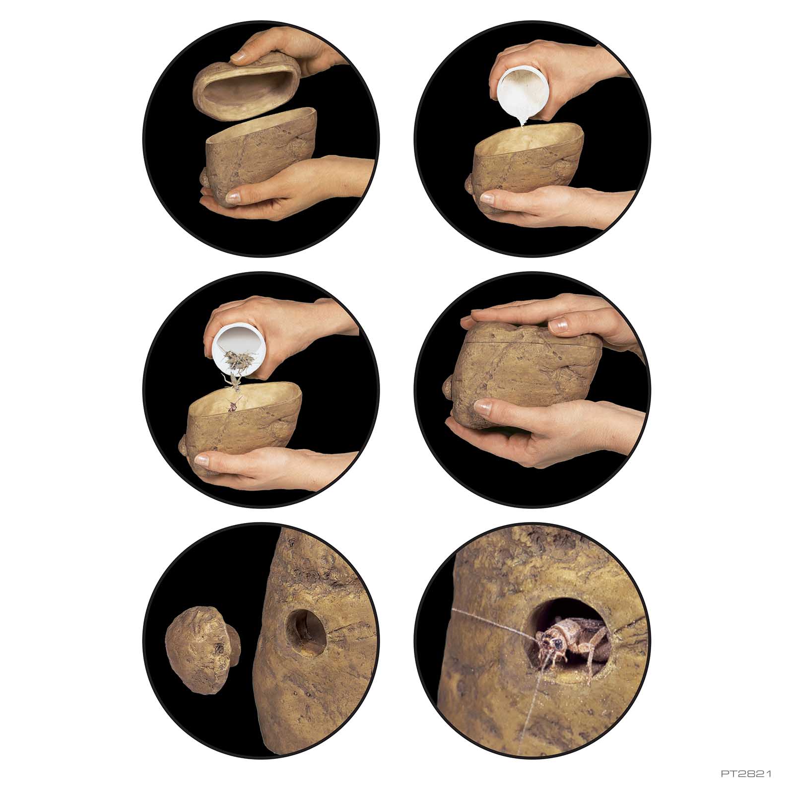 exo-terra-feeding-rock-futterstation-f-r-futterinsekten image 3