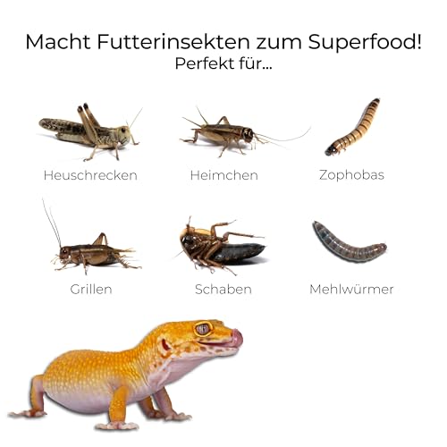 lucky-reptile-insect-booster-jelly-futterinsekten-nahrung-4-x-15-g image 6