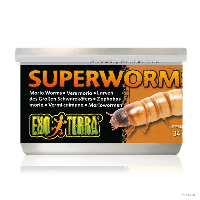 exo-terra-superworms-34g-dosenfutter-zophobas-f-r-reptilien image 1
