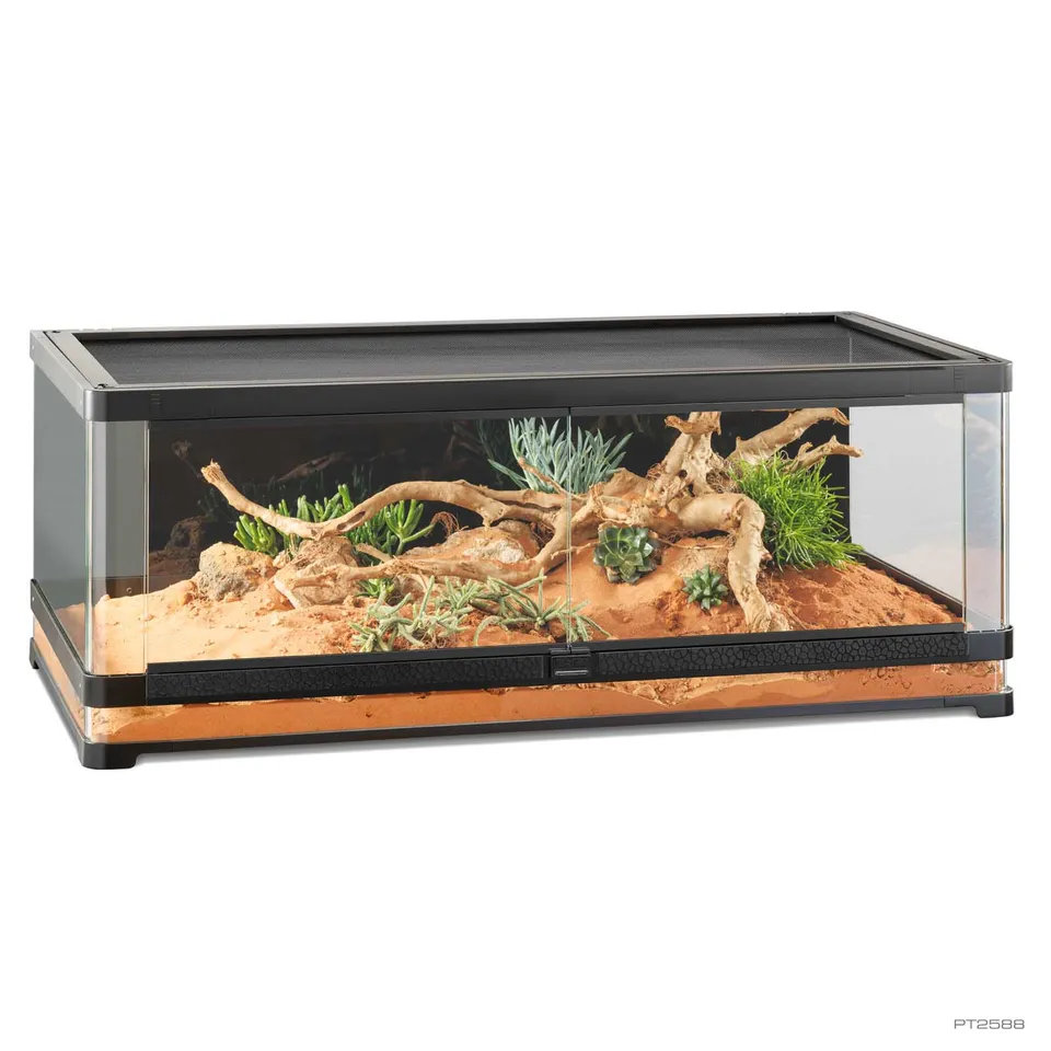 exo-terra-vista-120-panoramic-natural-terrarium-glas-terrarium-mit-180-panorama- image 1
