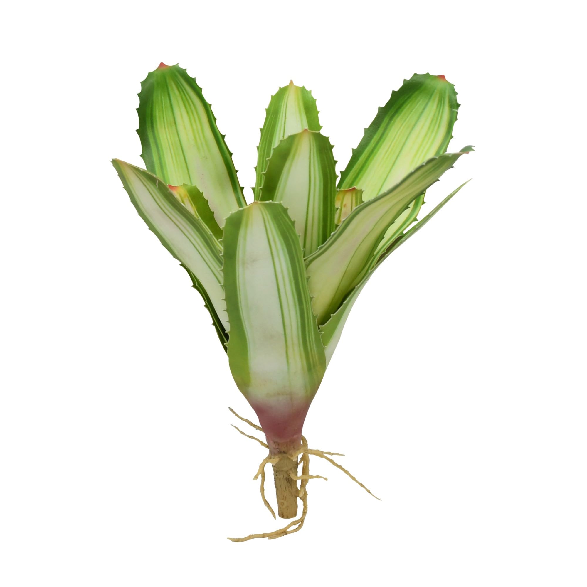 lucky-reptile-scape-it-easy-bromelie-neoregelia-wei-ca-20-cm-terrarien-dekopflan image 3