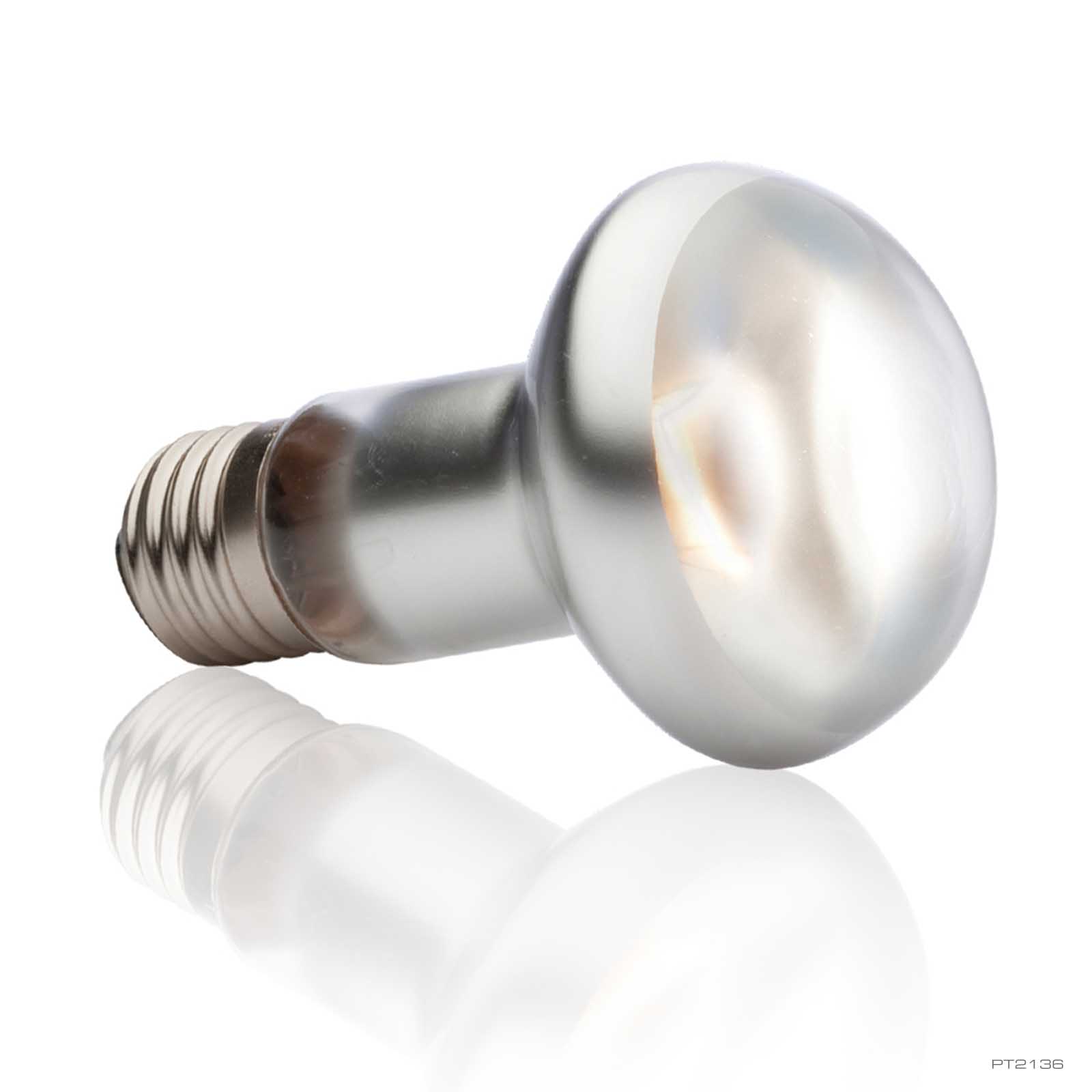 exo-terra-intense-basking-spot-75w-fokussierte-w-rmespotlampe image 2
