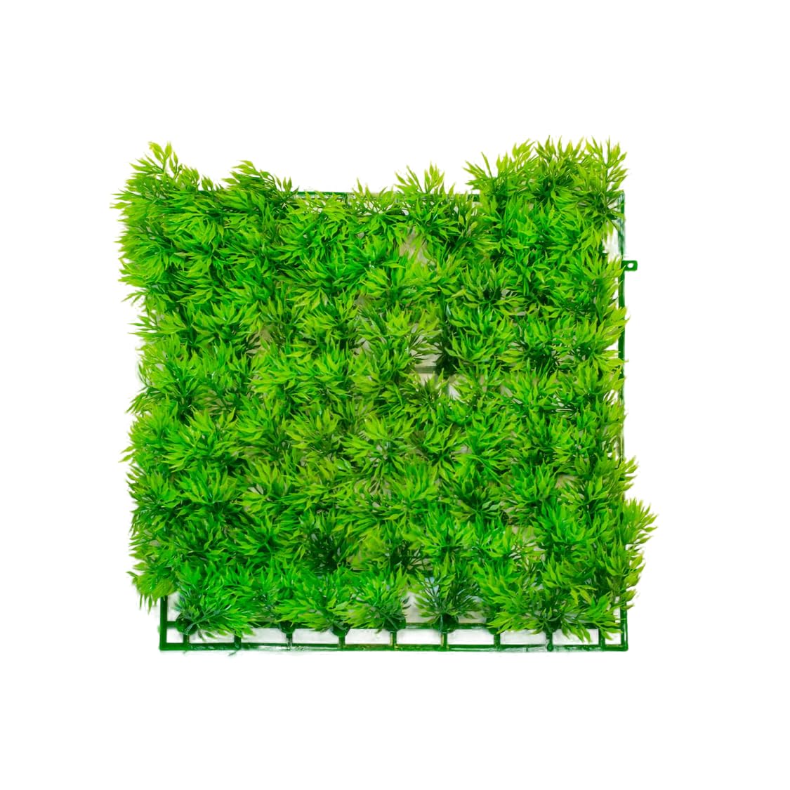 lucky-reptile-flora-mat-tropical-fern-r-ckwandmatte-26-5-x-26-5-cm image 1