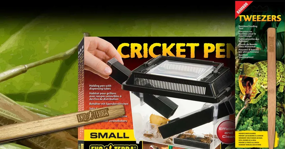 exo-terra-feeding-tools-futterpinzette-cricket-pen-zubeh-r image 1