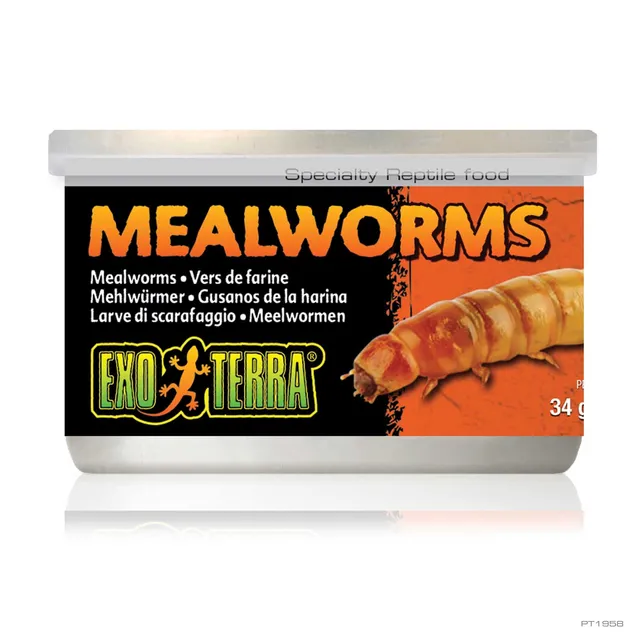 exo-terra-mehlw-rmer-34-g-dosenfutter-f-r-reptilien image 1