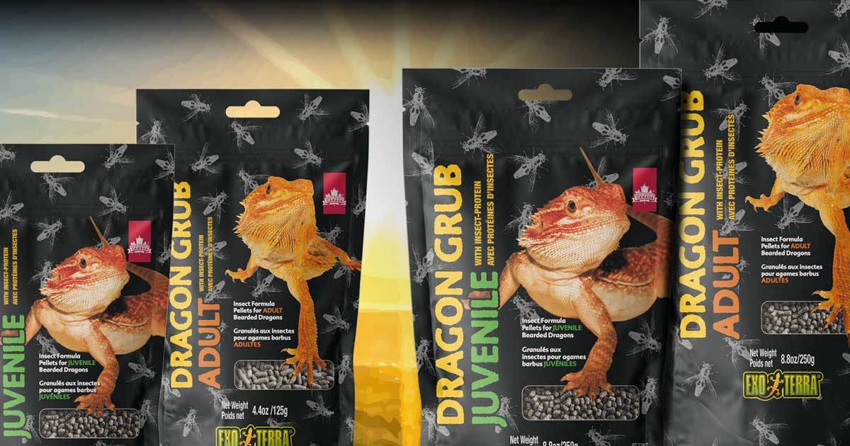 exo-terra-insect-based-diets-insektenfutter-f-r-reptilien image 1