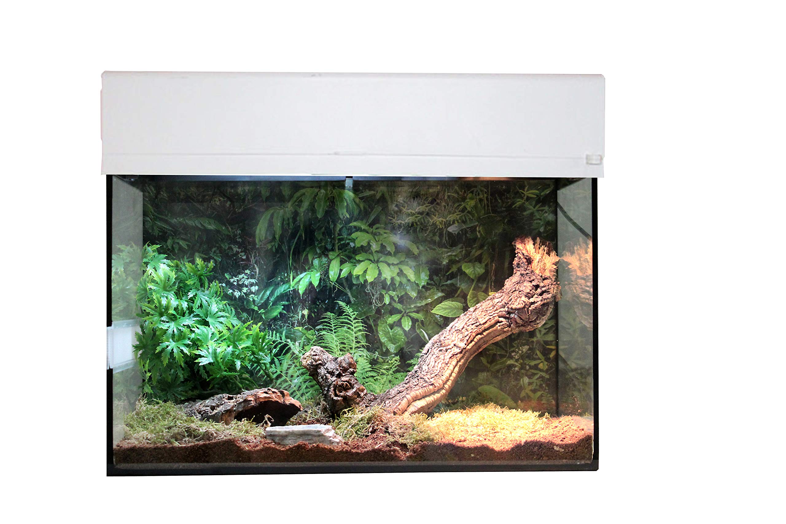 lucky-reptile-starter-kit-vogelspinne-skorpion-schwarz-50x28x40-cm image 8