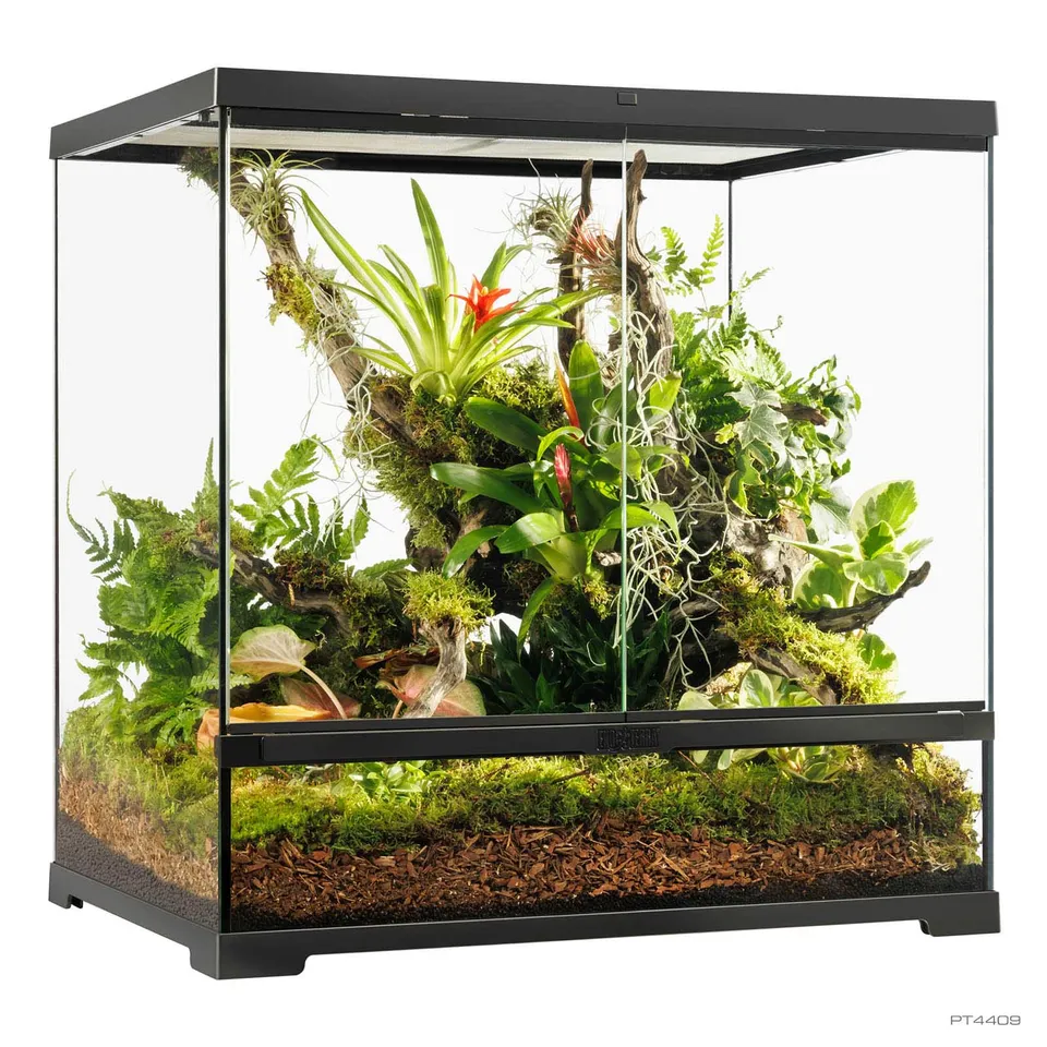 exo-terra-pro-terrarium-medium-tall-advanced-natural-terrarium image 1
