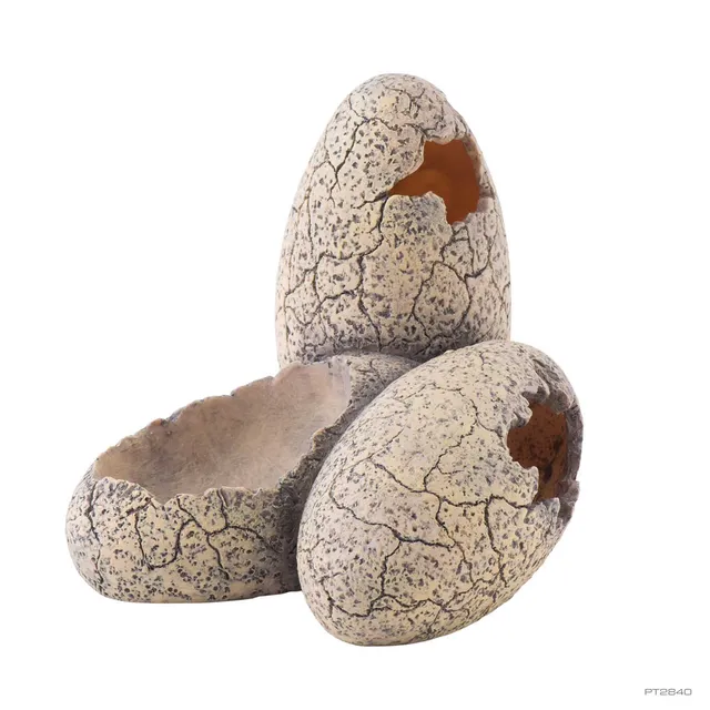 exo-terra-dinosaur-eggs-small-versteck-mit-wasserschale image 1