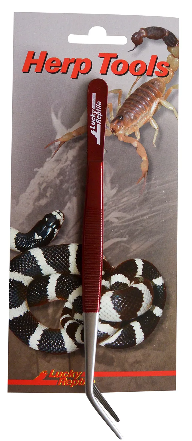 lucky-reptile-futterpinzette-abgewinkelt-20-cm-terrarien-pinzette image 1