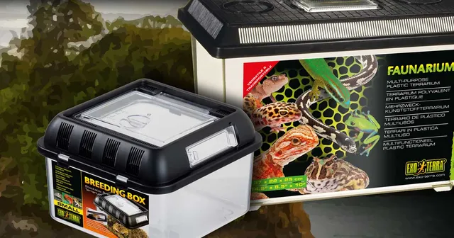 exo-terra-faunarium-kunststoff-terrarium-box image 1