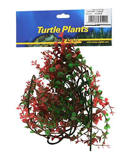 lucky-reptile-turtle-plant-hornkraut-plf042-64542-schwimmende-kunstpflanze-47-g- image 8